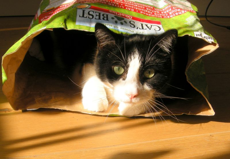 Cat’s Best Öko Plus / Original Katzenstreu