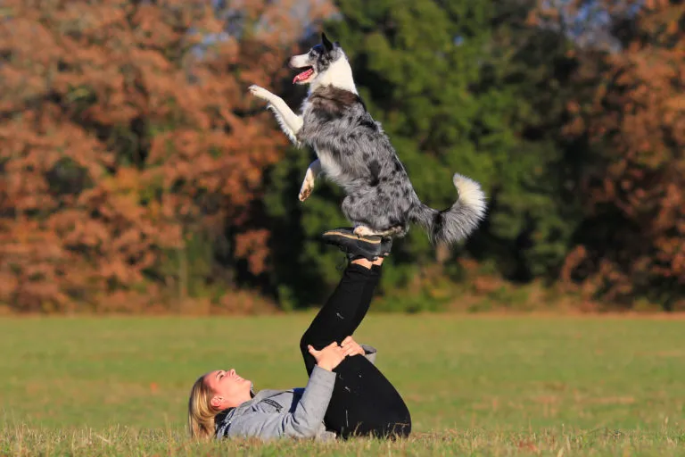 Taniec z psem Dog Dancing
