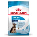 253296_253297_pla_royalcanin_puppymaxi_dog_hs_01_0
