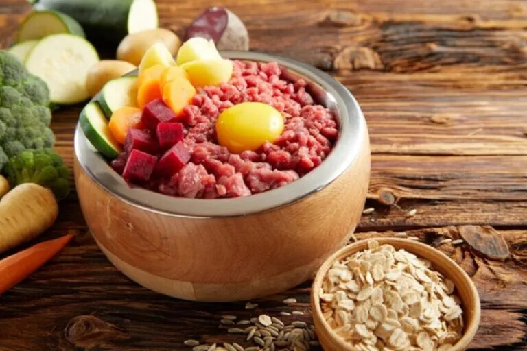 Dieta BARF dla psów Barfowanie psów