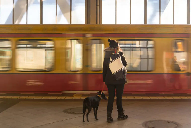 Podróżowanie z psem Transport psa pociągiem