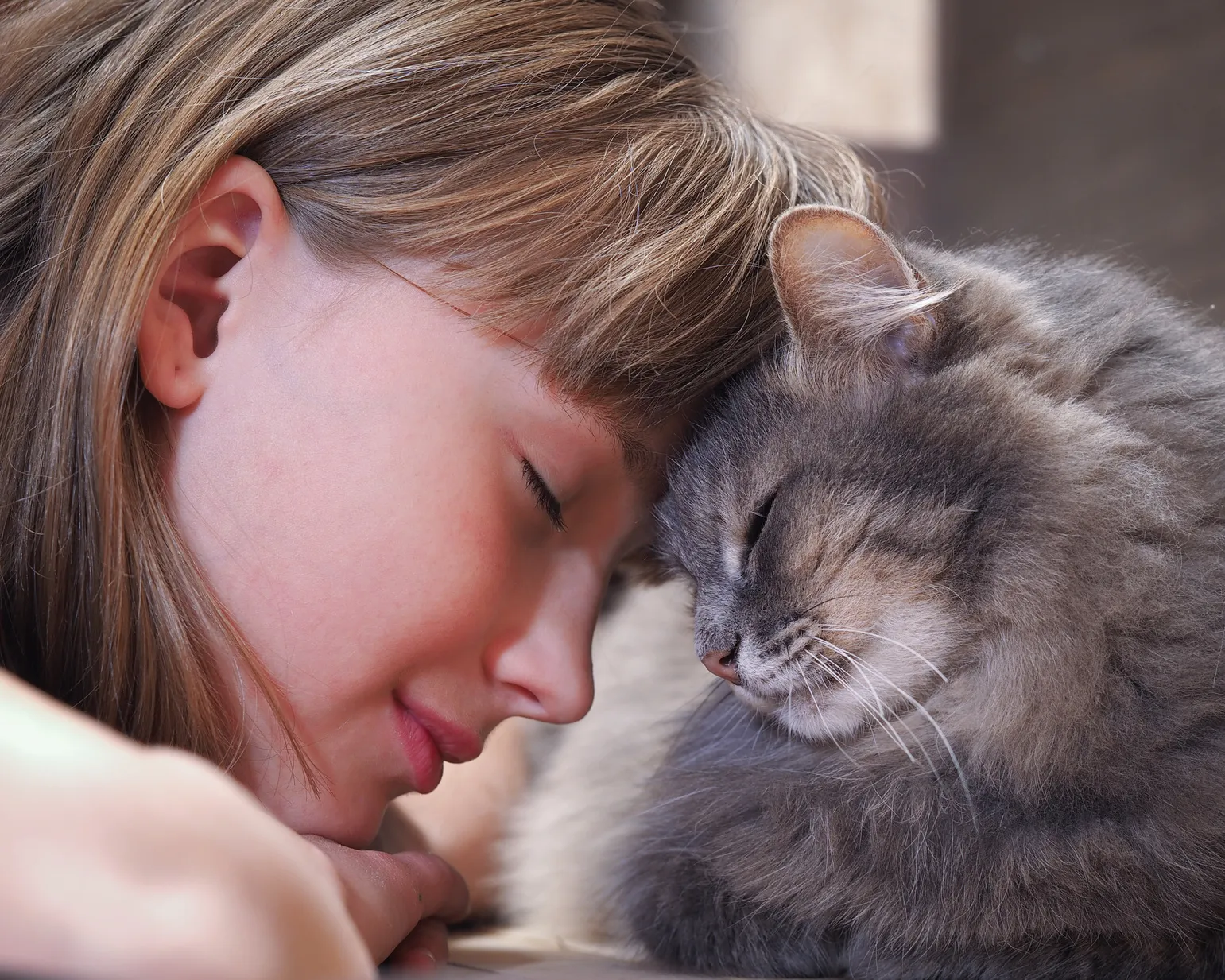 katze ihre nase an mir reibt