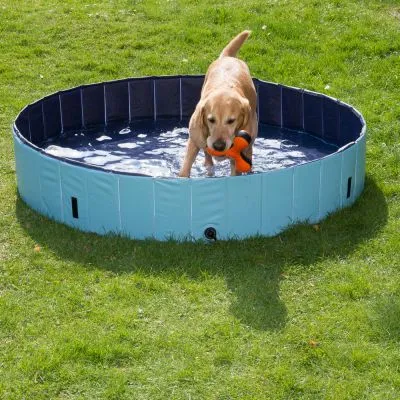 Dog Pool Keep Cool basen dla psa Basen dla psa Keep Cool