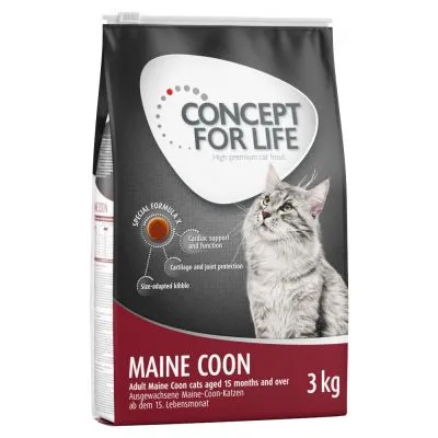Concept for Life Maine Coon Karma na Maine Coona