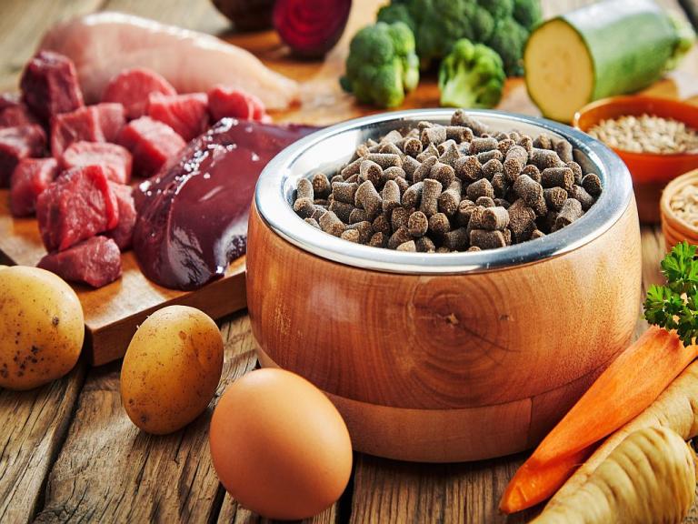 superskładniki dla psów superfoods dla psa