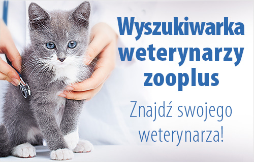 Wyszukiwarka weterynarzy zooplus