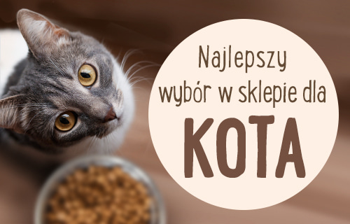 jedzenie dla kota