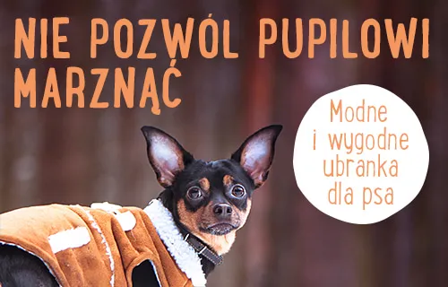 płaszczyki dla psa
