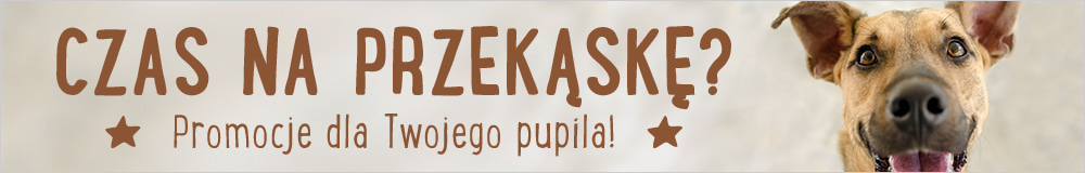 Czas na przekąskę