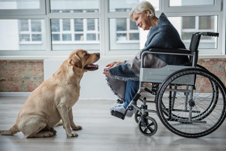 pies terapeuta z osobą niepełnosprawną