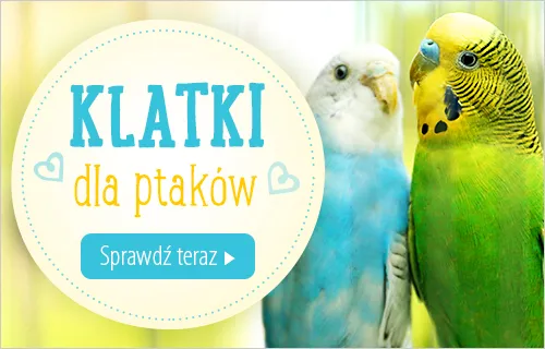 klatka dla ptakow