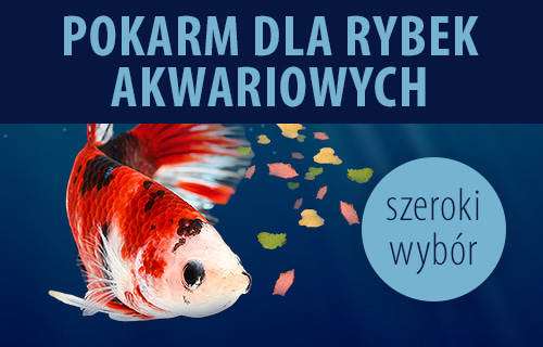 pokarm dla rybek akwariowych