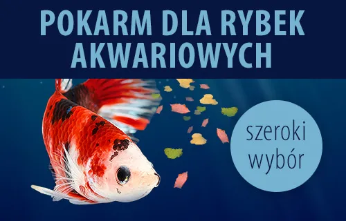pokarm dla rybek akwariowych