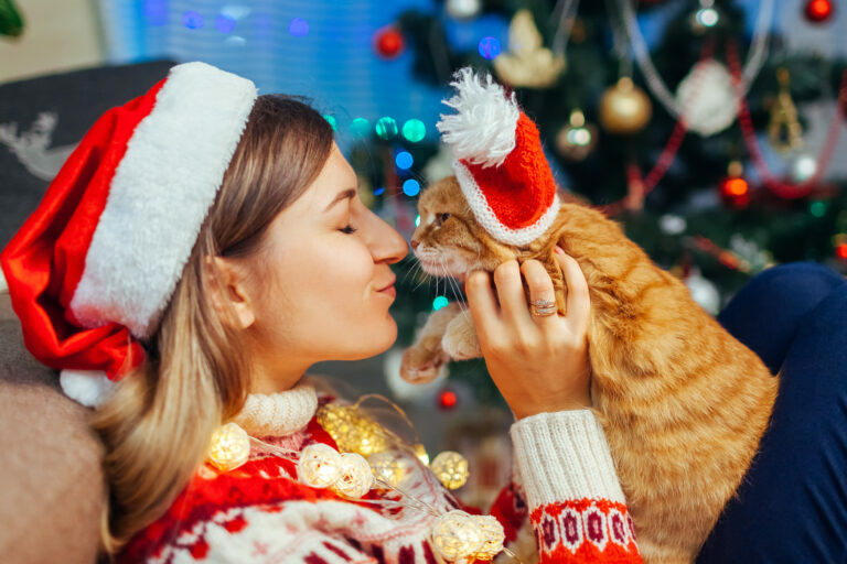 prezenty świąteczne dla kota