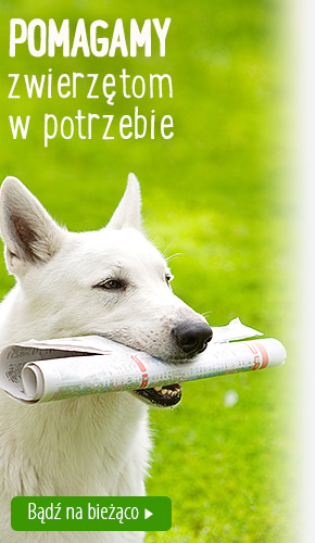 zooplus pomaga aktualnosci BB right