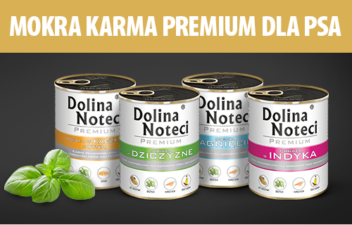 dolina noteci