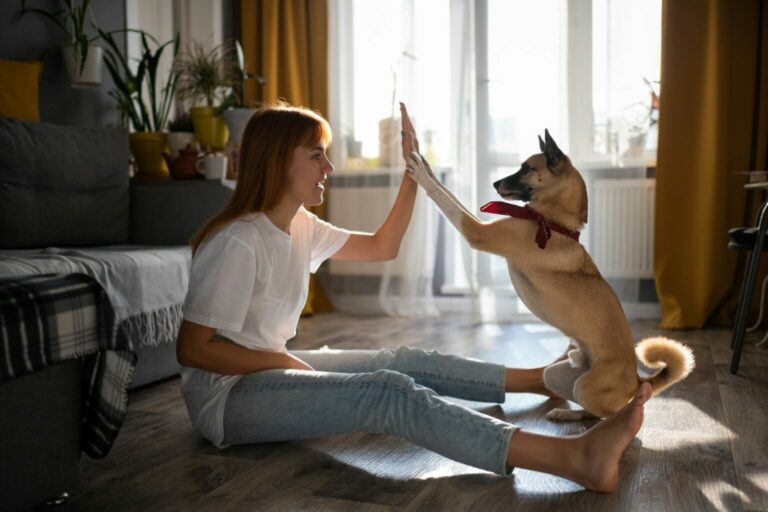 wychodzenie z domu po izolacji