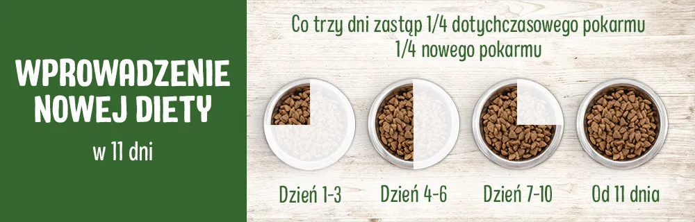 zmiana karmy u psa zmiana karmy w misce psa