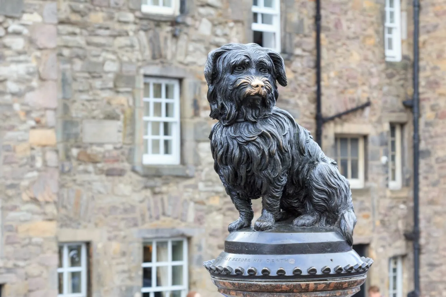 pomnik skye terriera o imieniu Greyfriars Bobby pomnik skye terriera o imieniu Greyfriars Bobby