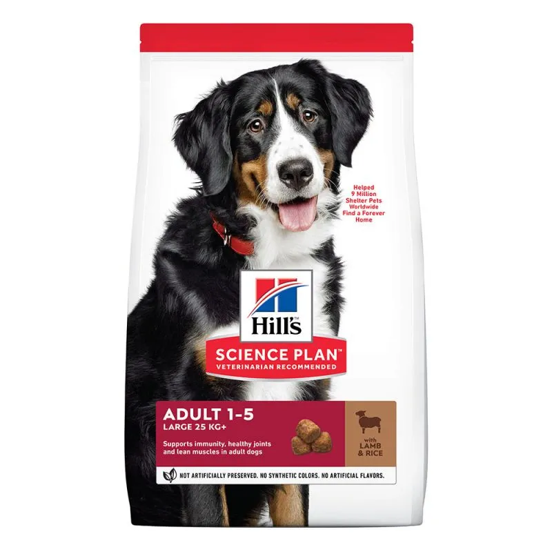 Hill's Science Plan Adult 1–5 Large, z jagnięciną i ryżem