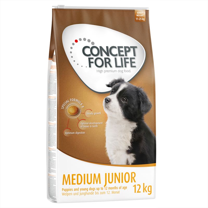 sucha karma dla beagle'a Concept for Life Medium Junior