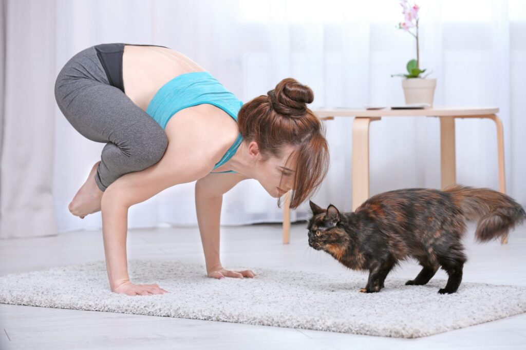 Cat yoga, czyli joga z kotem