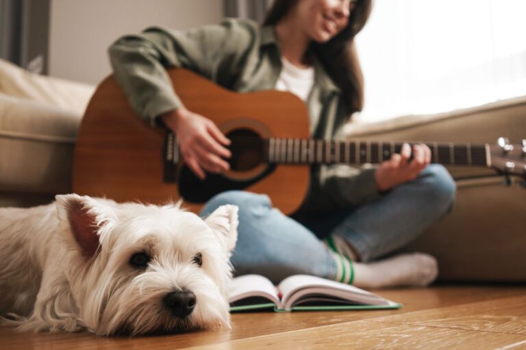 Muzyka relaksacyjna dla psów - biały terier leży na podłodze i słucha muzyki