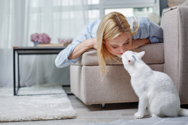 Kot domowy czy wychodzący - biały kot w mieszkaniu ze swoją panią
