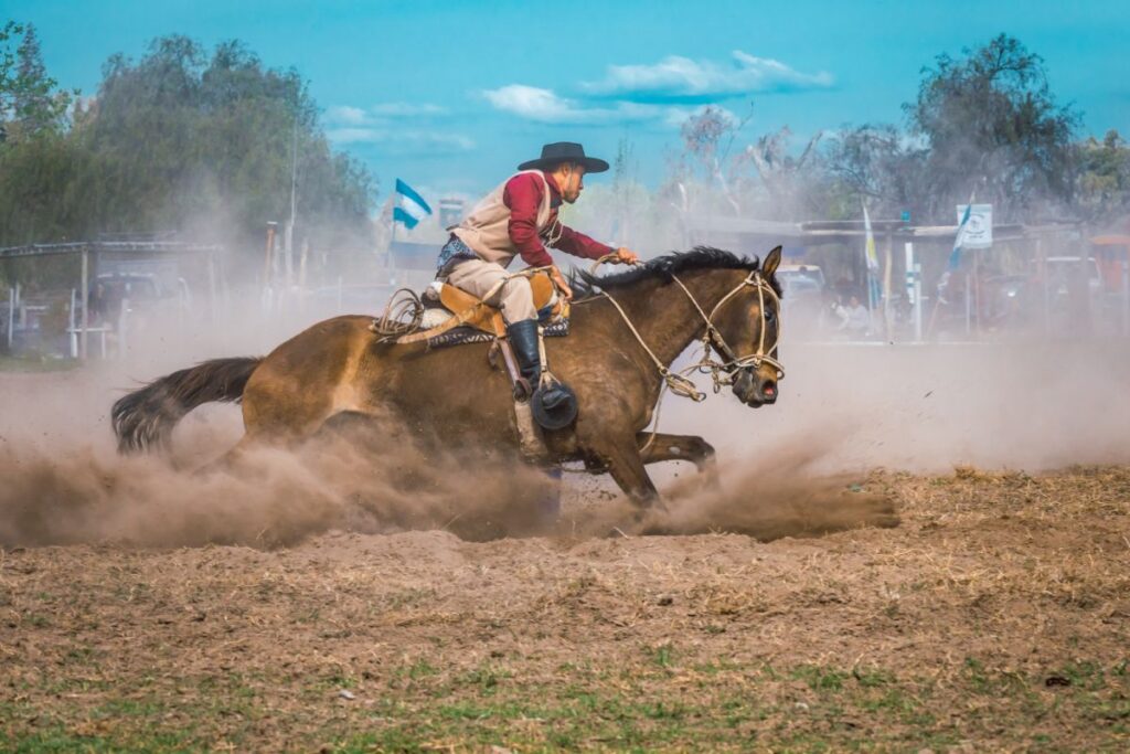 Criollo w Argentynie