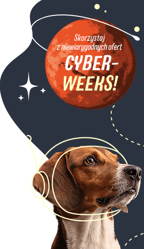 2023_10_CyberWeeksCampaign_General_SideBanner_Left_290x500_PL