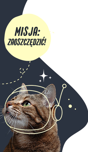 2023_10_CyberWeeksCampaign_General_SideBanner_Right_290x500_PL