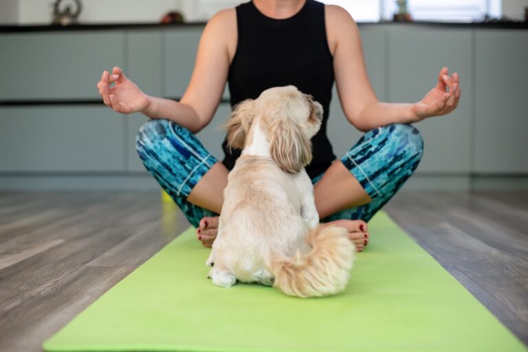 Puppy yoga