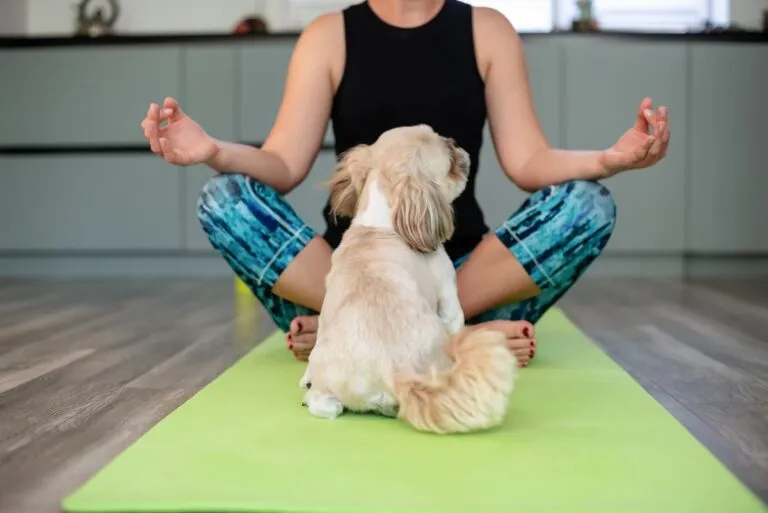 Joga ze szczeniakami Puppy yoga