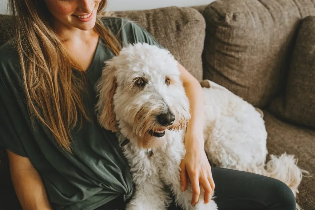 Petsitter z psem na kanapie Pies z petsitterem