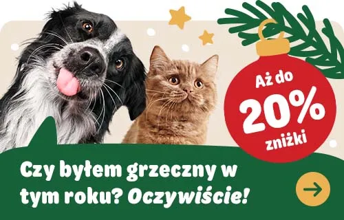 Pies i kot na banerze reklamującym kampanię świąteczną